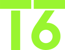 TT16