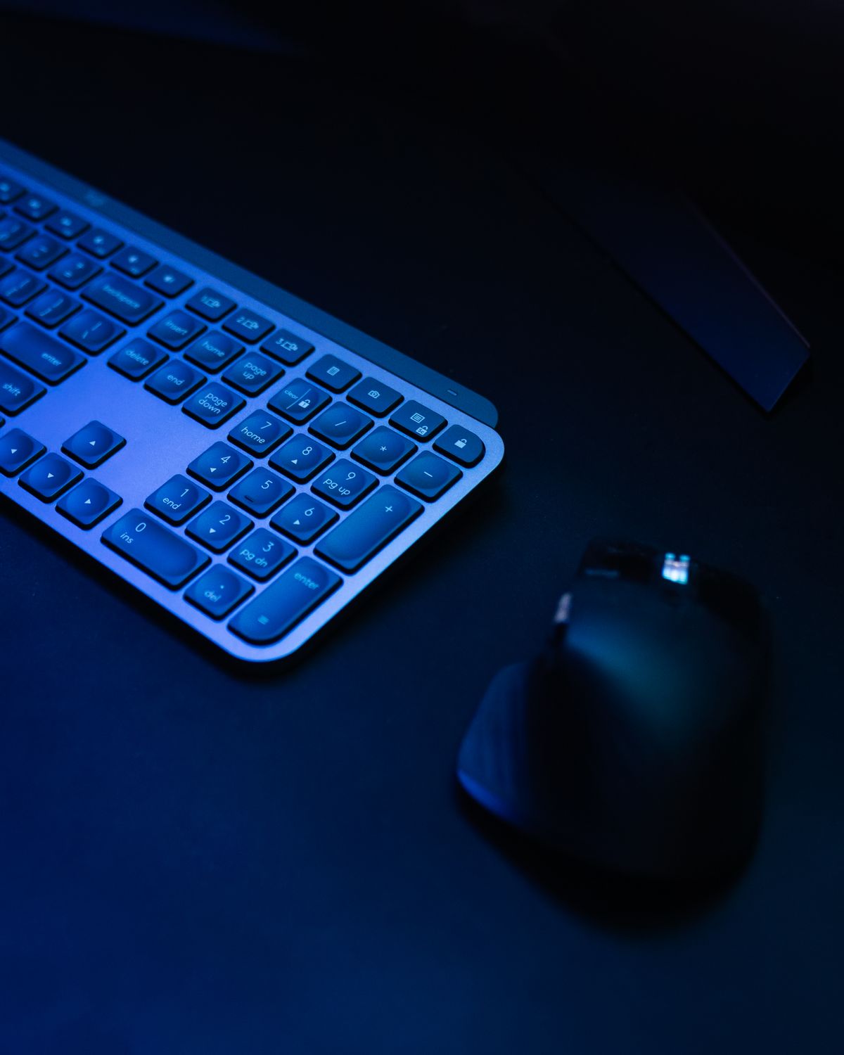 Clavier souris DPS